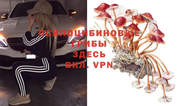 a pvp Баксан