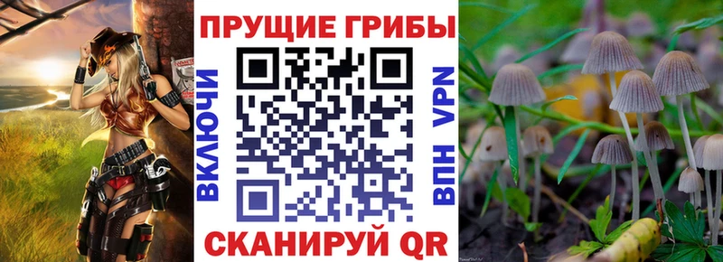 Галлюциногенные грибы прущие грибы  Купить  Кропоткин 